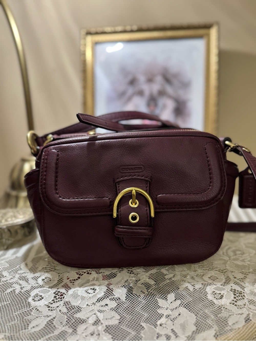 Coach Burgundy Campbell Camera Crossbody Bag